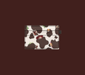 Yeehaw Pals Cardholder PREORDER